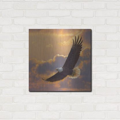 Luxe Metal Art 'Soaring Spirit' by Collin Bogle, Metal Wall Art,24x24
