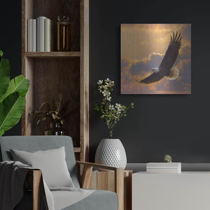 Luxe Metal Art 'Soaring Spirit' by Collin Bogle, Metal Wall Art,24x24