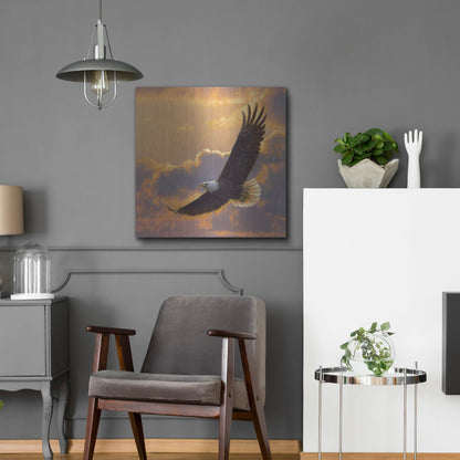 Luxe Metal Art 'Soaring Spirit' by Collin Bogle, Metal Wall Art,24x24