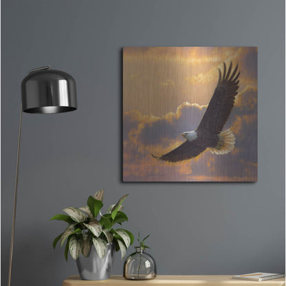 Luxe Metal Art 'Soaring Spirit' by Collin Bogle, Metal Wall Art,24x24
