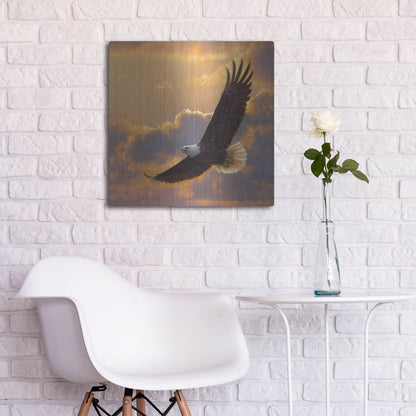 Luxe Metal Art 'Soaring Spirit' by Collin Bogle, Metal Wall Art,24x24