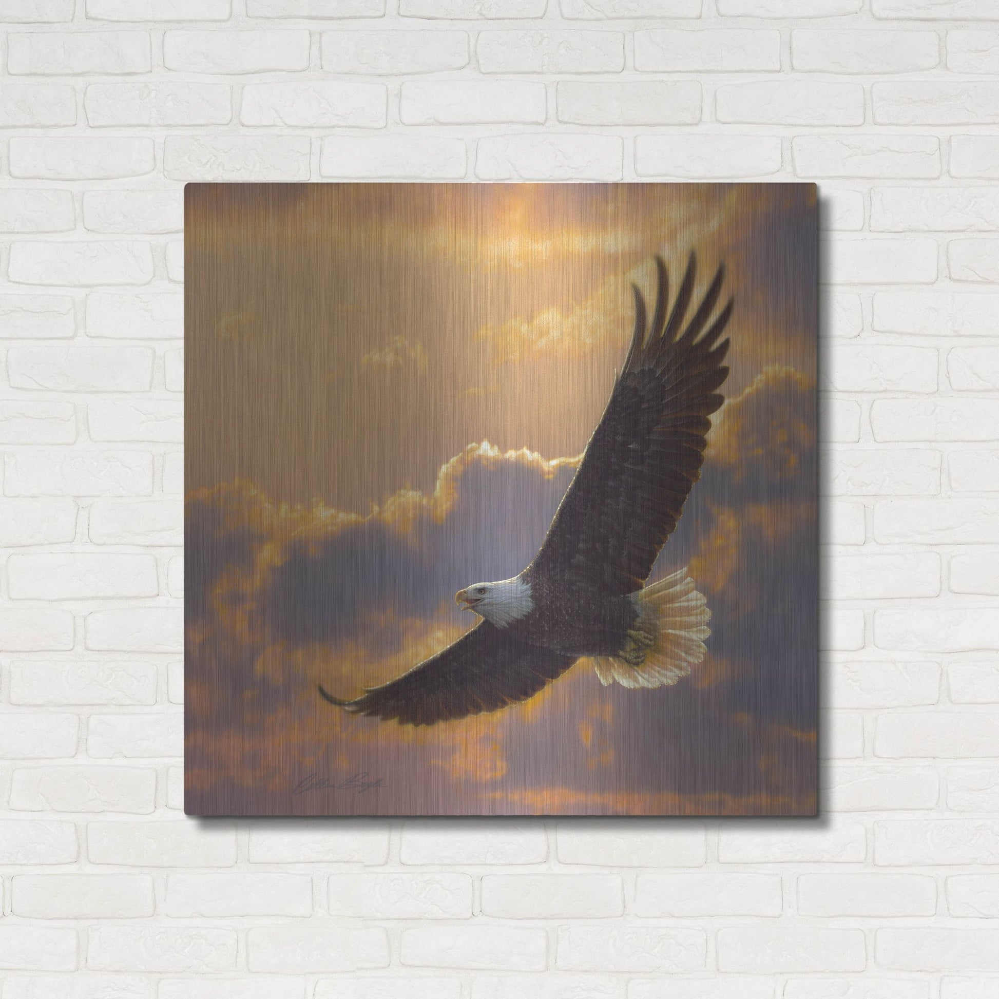 Luxe Metal Art 'Soaring Spirit' by Collin Bogle, Metal Wall Art,36x36