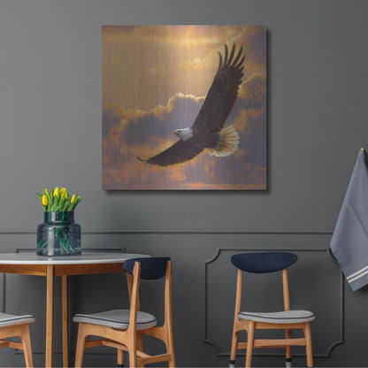 Luxe Metal Art 'Soaring Spirit' by Collin Bogle, Metal Wall Art,36x36