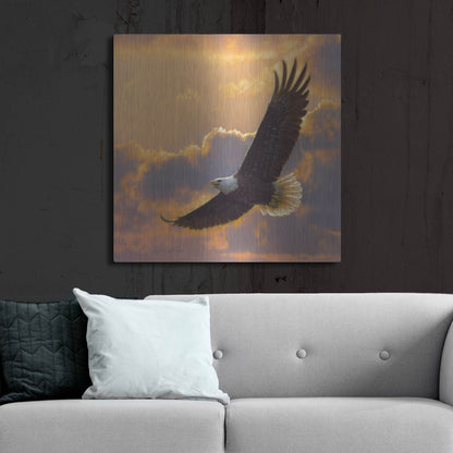 Luxe Metal Art 'Soaring Spirit' by Collin Bogle, Metal Wall Art,36x36