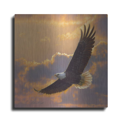Luxe Metal Art 'Soaring Spirit' by Collin Bogle, Metal Wall Art