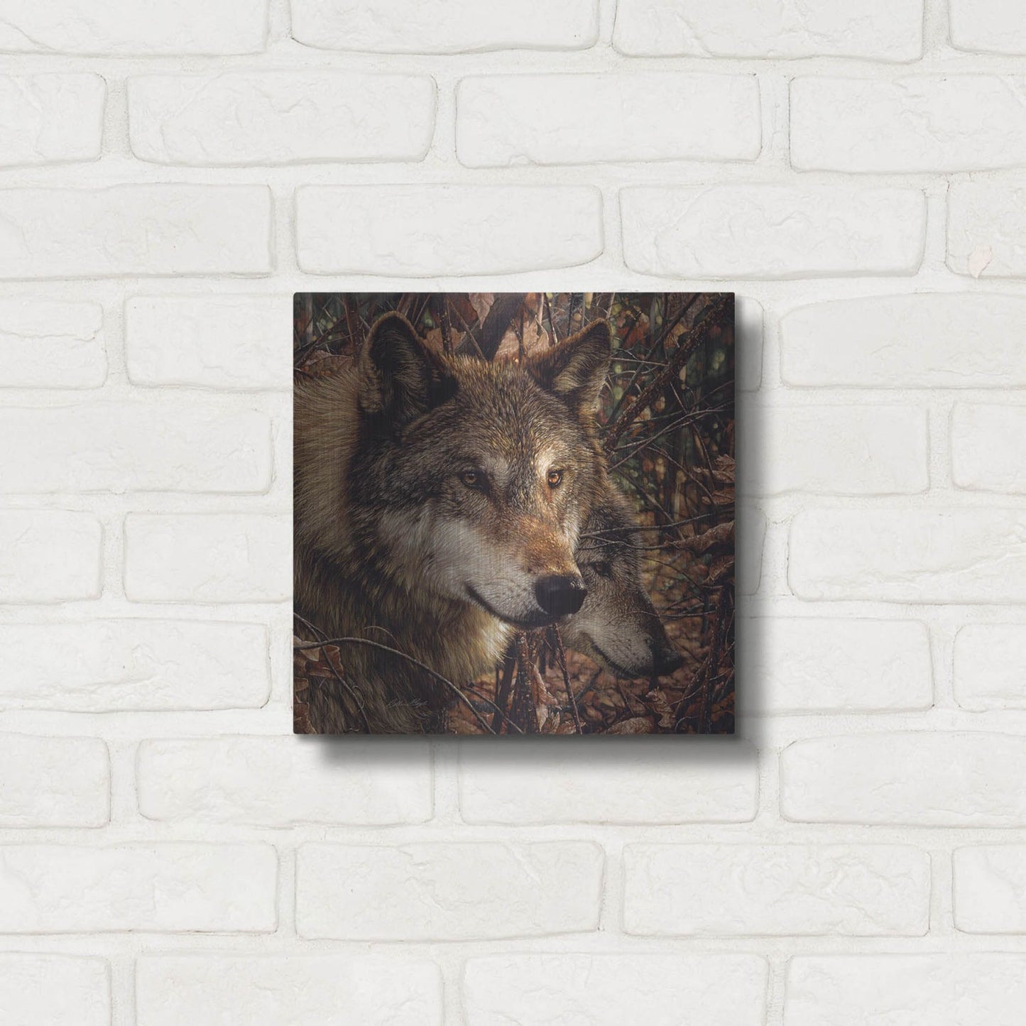 Luxe Metal Art 'Colors of Autumn' by Collin Bogle, Metal Wall Art,12x12