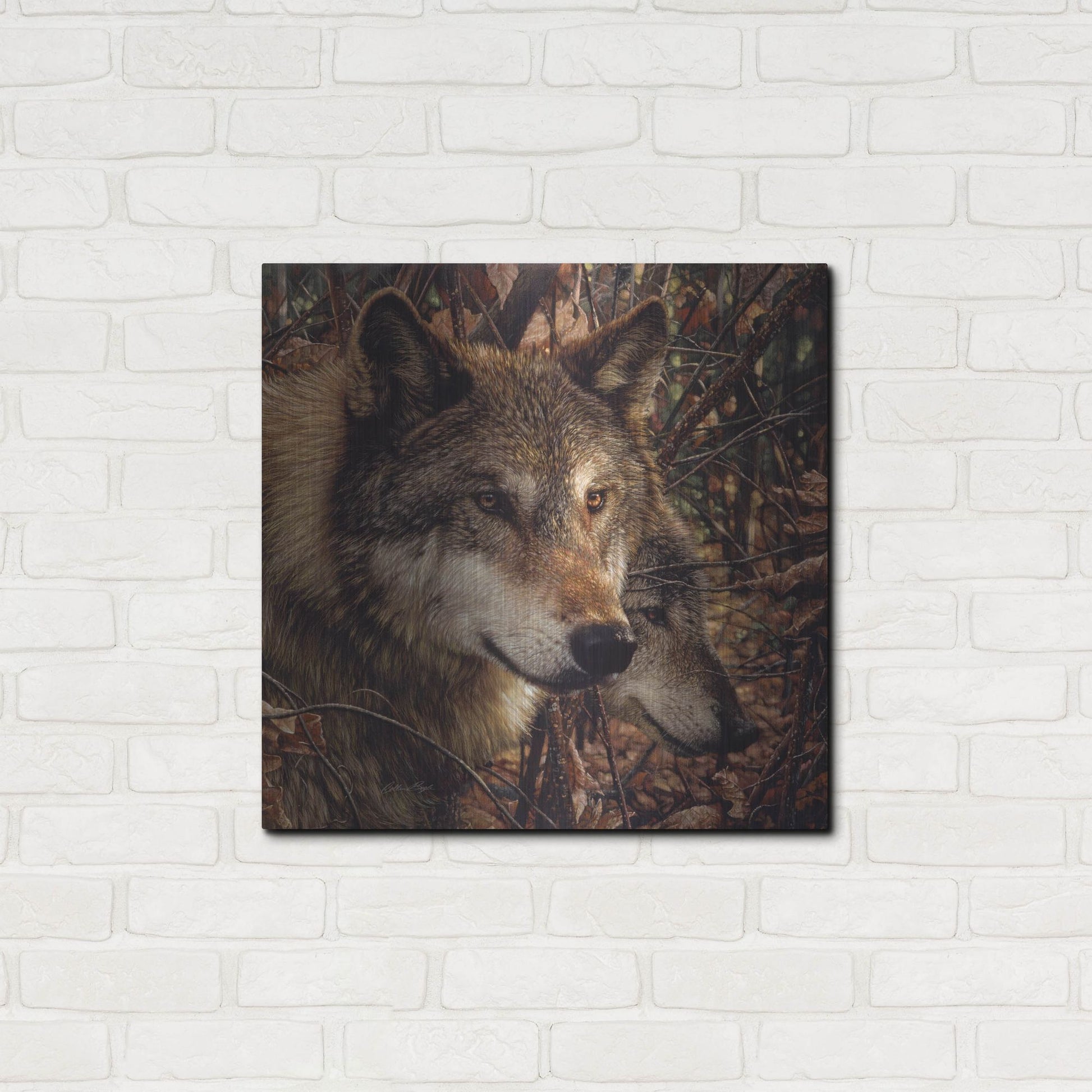 Luxe Metal Art 'Colors of Autumn' by Collin Bogle, Metal Wall Art,24x24