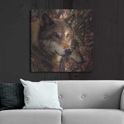 Luxe Metal Art 'Colors of Autumn' by Collin Bogle, Metal Wall Art,36x36