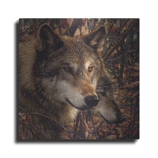 Luxe Metal Art 'Colors of Autumn' by Collin Bogle, Metal Wall Art