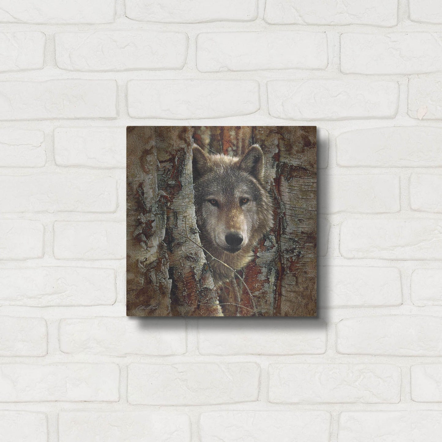 Luxe Metal Art 'Wolf Spirit' by Collin Bogle, Metal Wall Art,12x12