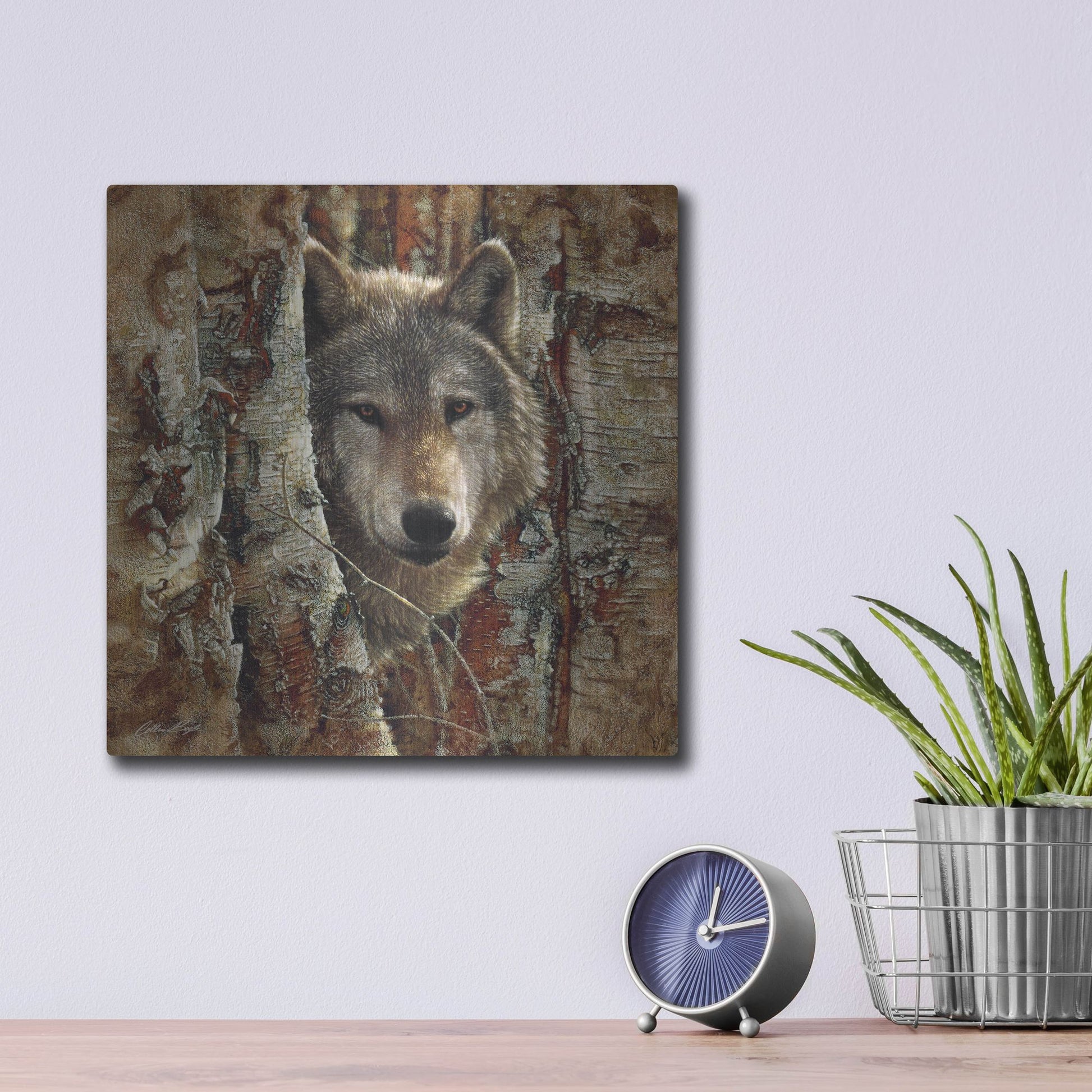 Luxe Metal Art 'Wolf Spirit' by Collin Bogle, Metal Wall Art,12x12