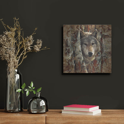 Luxe Metal Art 'Wolf Spirit' by Collin Bogle, Metal Wall Art,12x12