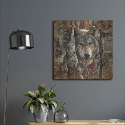 Luxe Metal Art 'Wolf Spirit' by Collin Bogle, Metal Wall Art,24x24