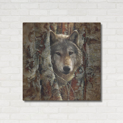 Luxe Metal Art 'Wolf Spirit' by Collin Bogle, Metal Wall Art,36x36