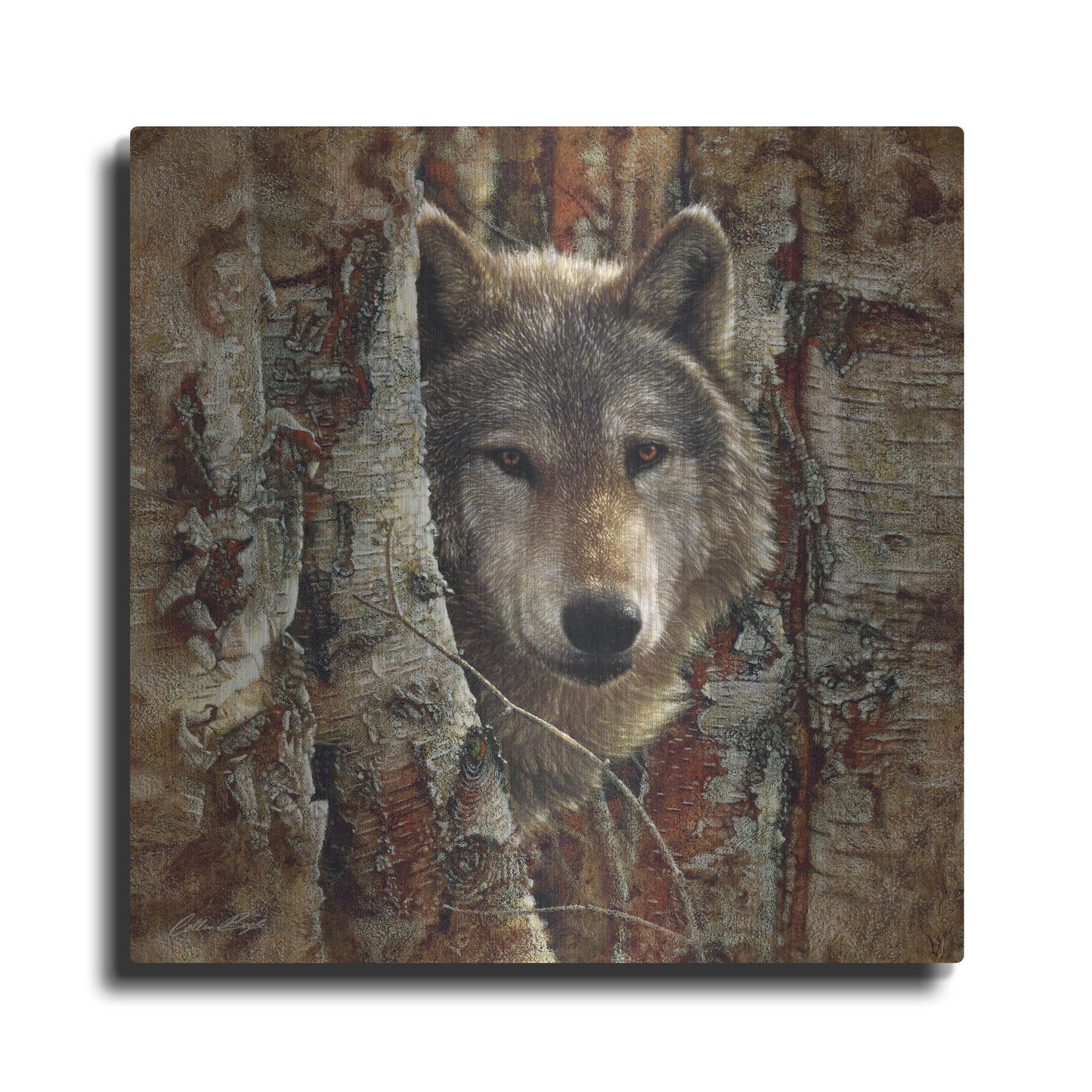 Luxe Metal Art 'Wolf Spirit' by Collin Bogle, Metal Wall Art