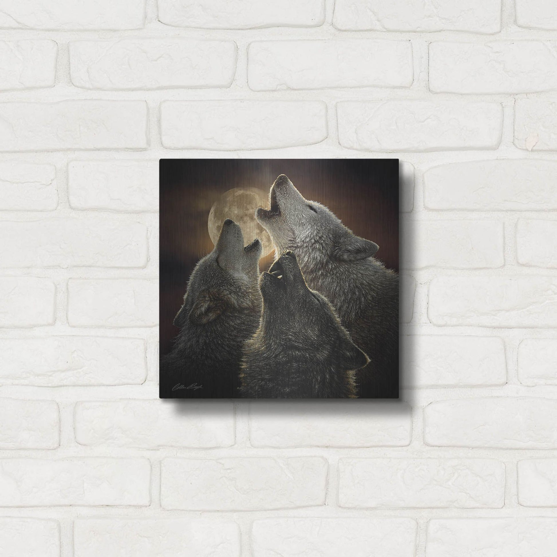 Luxe Metal Art 'Wolf Trinity' by Collin Bogle, Metal Wall Art,12x12