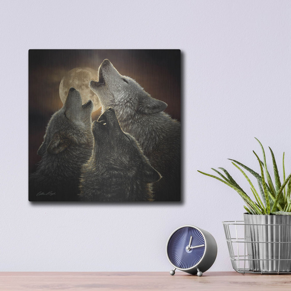 Luxe Metal Art 'Wolf Trinity' by Collin Bogle, Metal Wall Art,12x12