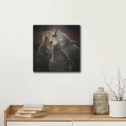 Luxe Metal Art 'Wolf Trinity' by Collin Bogle, Metal Wall Art,12x12