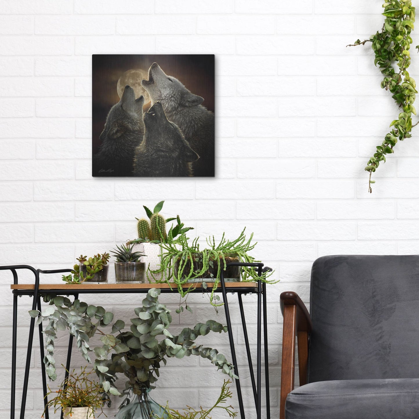 Luxe Metal Art 'Wolf Trinity' by Collin Bogle, Metal Wall Art,12x12