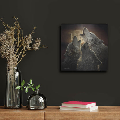 Luxe Metal Art 'Wolf Trinity' by Collin Bogle, Metal Wall Art,12x12
