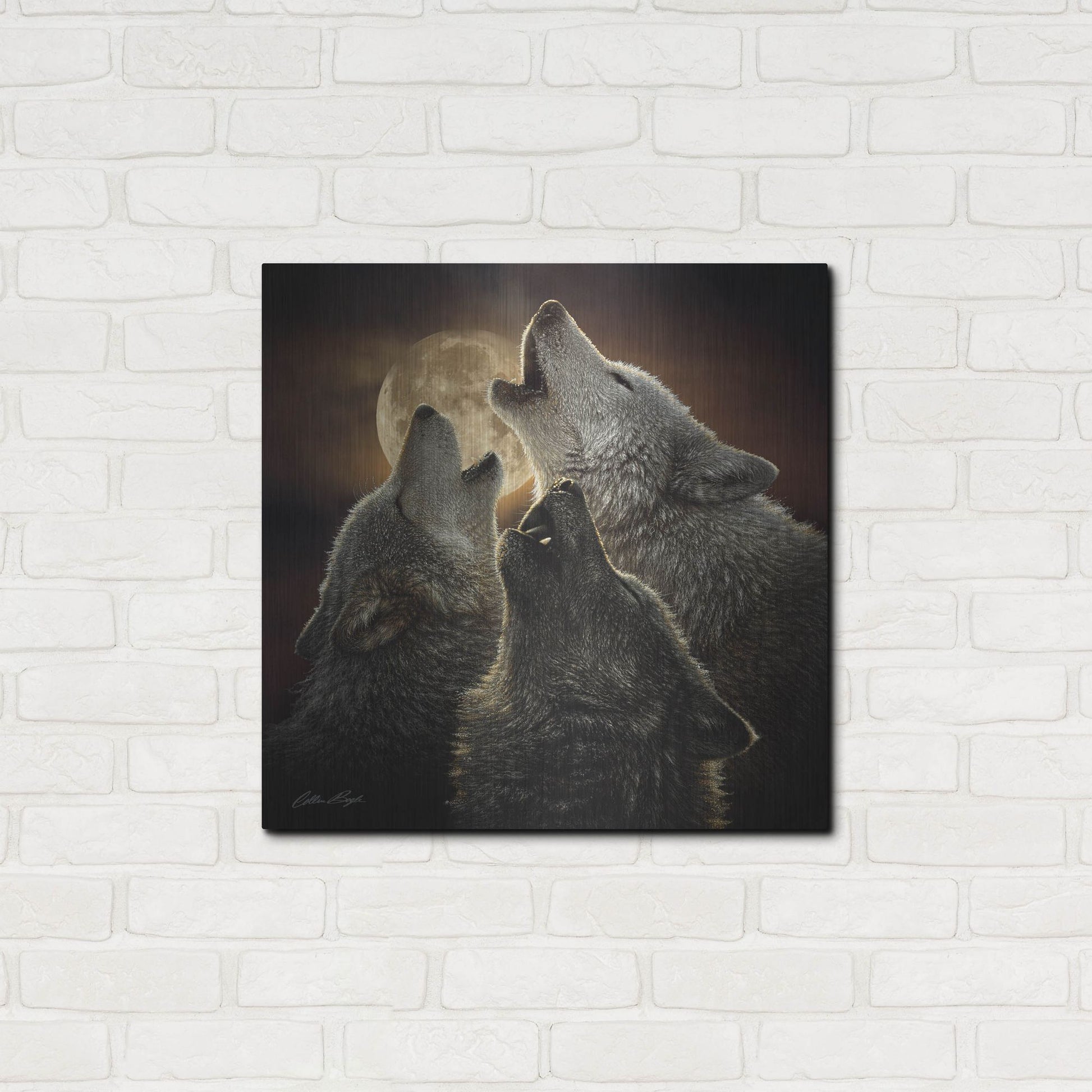 Luxe Metal Art 'Wolf Trinity' by Collin Bogle, Metal Wall Art,24x24