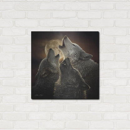 Luxe Metal Art 'Wolf Trinity' by Collin Bogle, Metal Wall Art,24x24