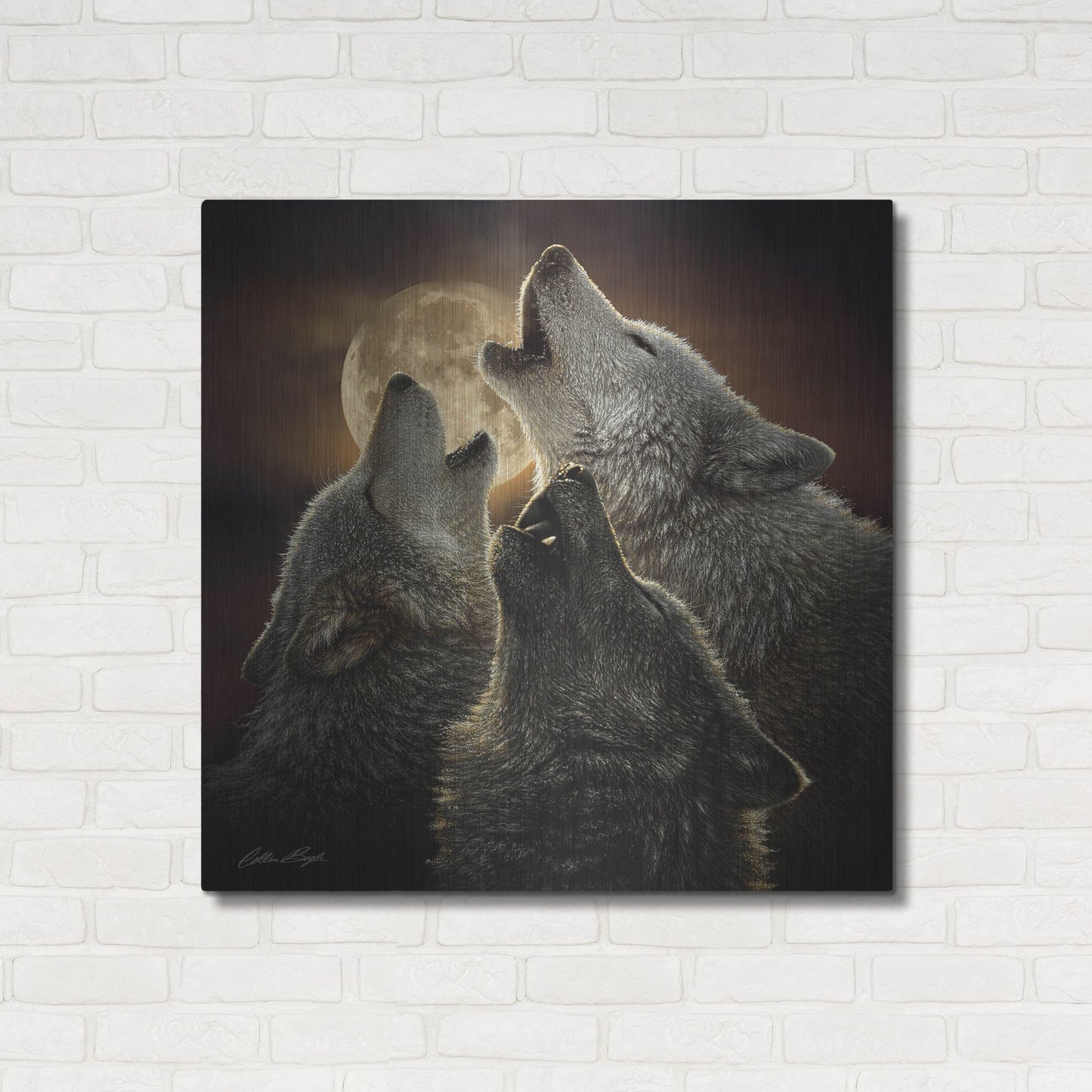 Luxe Metal Art 'Wolf Trinity' by Collin Bogle, Metal Wall Art,36x36