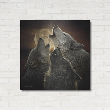 Luxe Metal Art 'Wolf Trinity' by Collin Bogle, Metal Wall Art,36x36