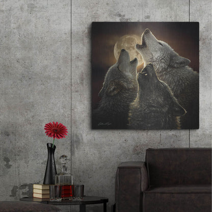 Luxe Metal Art 'Wolf Trinity' by Collin Bogle, Metal Wall Art,36x36