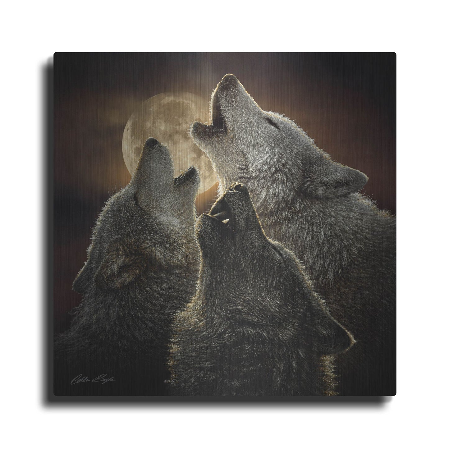 Luxe Metal Art 'Wolf Trinity' by Collin Bogle, Metal Wall Art