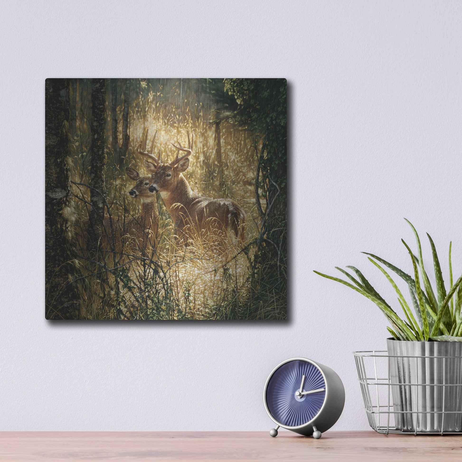 Luxe Metal Art 'A Golden Moment' by Collin Bogle, Metal Wall Art,12x12