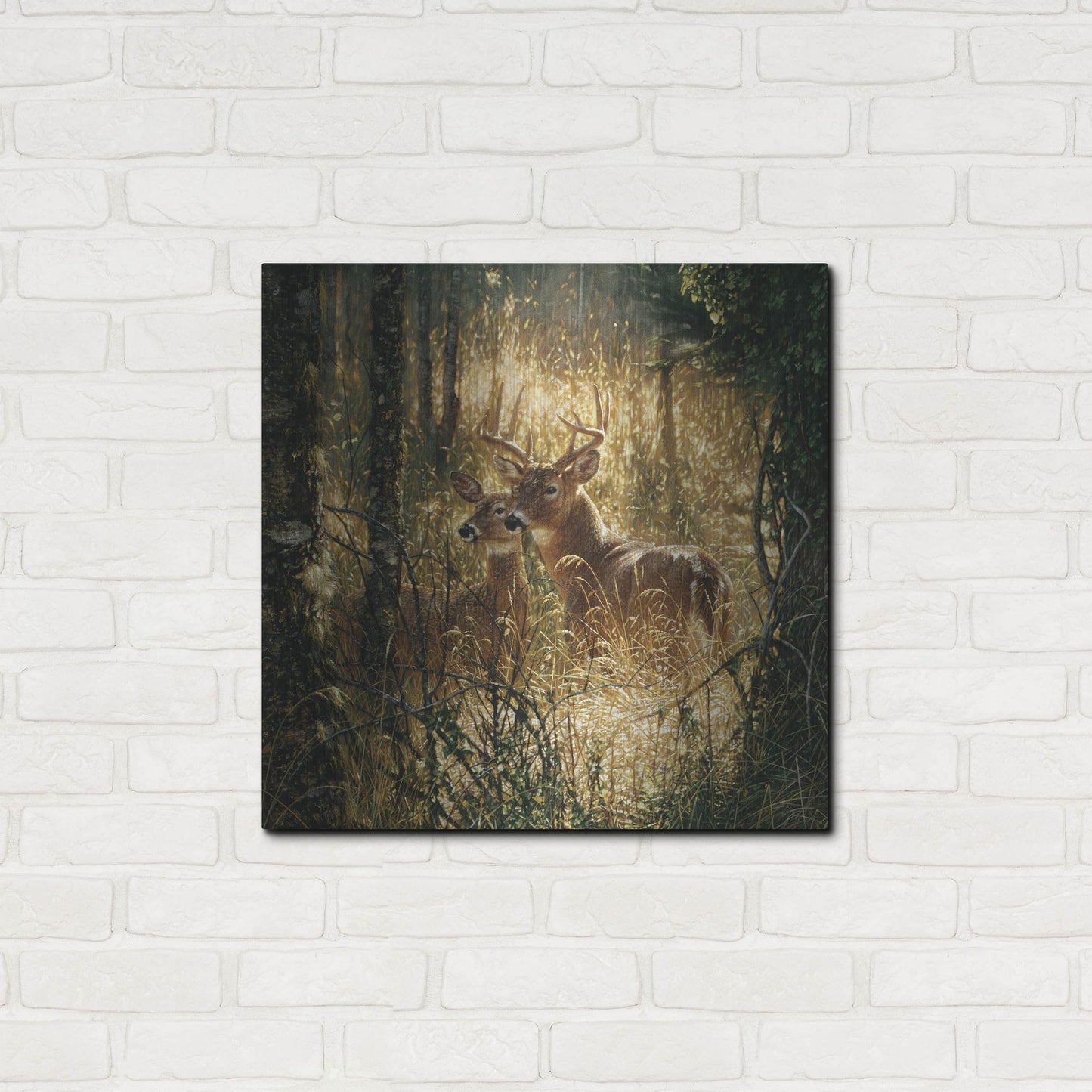 Luxe Metal Art 'A Golden Moment' by Collin Bogle, Metal Wall Art,24x24