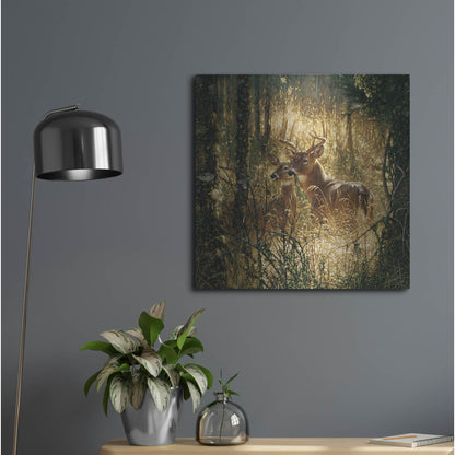 Luxe Metal Art 'A Golden Moment' by Collin Bogle, Metal Wall Art,24x24