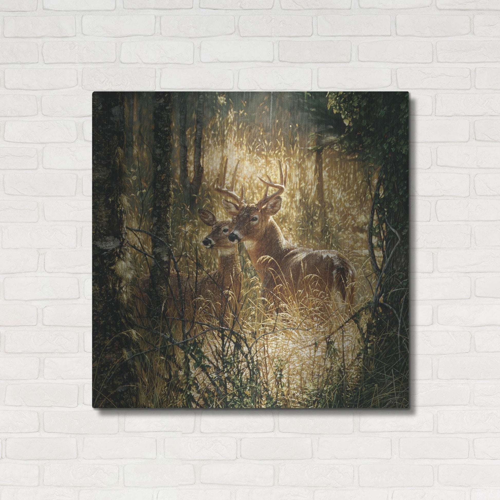 Luxe Metal Art 'A Golden Moment' by Collin Bogle, Metal Wall Art,36x36