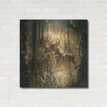 Luxe Metal Art 'A Golden Moment' by Collin Bogle, Metal Wall Art,36x36