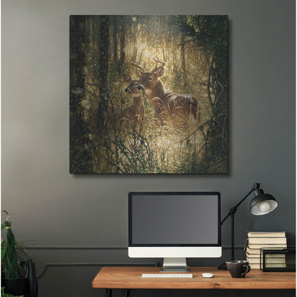 Luxe Metal Art 'A Golden Moment' by Collin Bogle, Metal Wall Art,36x36