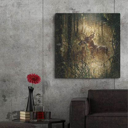 Luxe Metal Art 'A Golden Moment' by Collin Bogle, Metal Wall Art,36x36