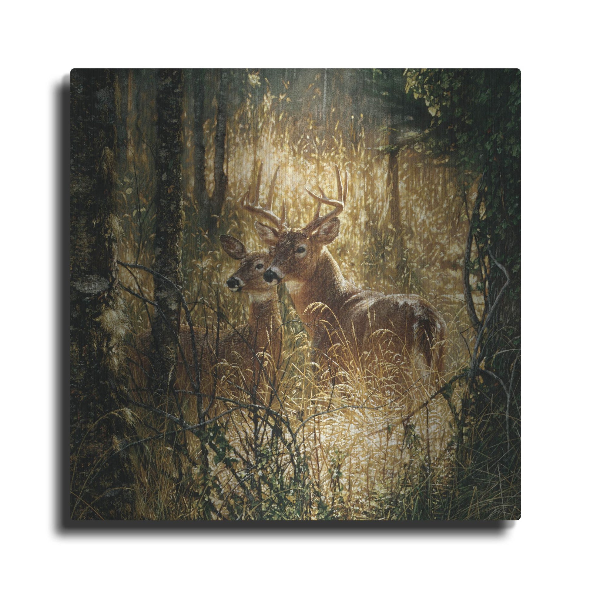 Luxe Metal Art 'A Golden Moment' by Collin Bogle, Metal Wall Art