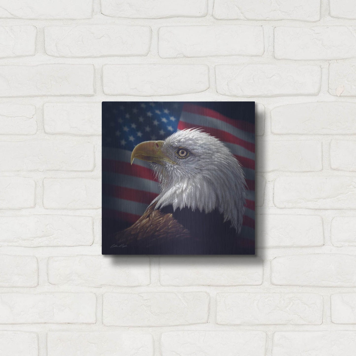 Luxe Metal Art 'American Bald Eagle' by Collin Bogle, Metal Wall Art,12x12