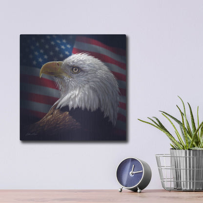 Luxe Metal Art 'American Bald Eagle' by Collin Bogle, Metal Wall Art,12x12