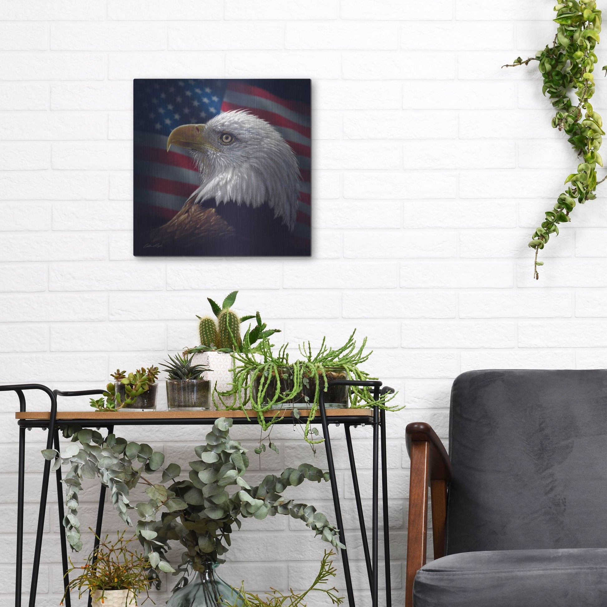 Luxe Metal Art 'American Bald Eagle' by Collin Bogle, Metal Wall Art,12x12