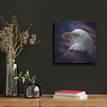 Luxe Metal Art 'American Bald Eagle' by Collin Bogle, Metal Wall Art,12x12