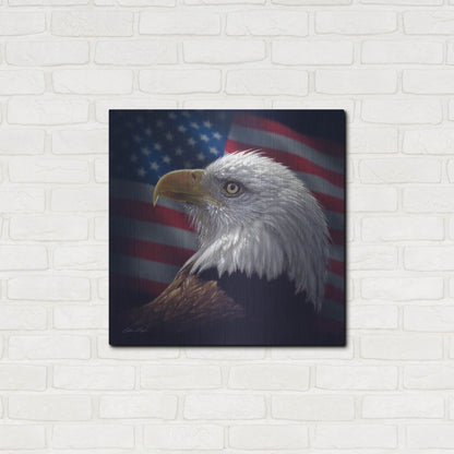 Luxe Metal Art 'American Bald Eagle' by Collin Bogle, Metal Wall Art,24x24