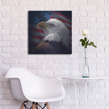 Luxe Metal Art 'American Bald Eagle' by Collin Bogle, Metal Wall Art,24x24