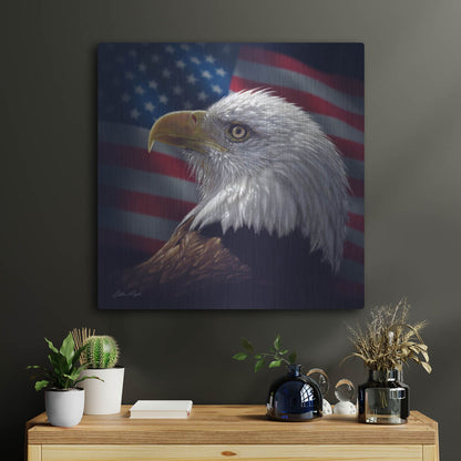 Luxe Metal Art 'American Bald Eagle' by Collin Bogle, Metal Wall Art,24x24