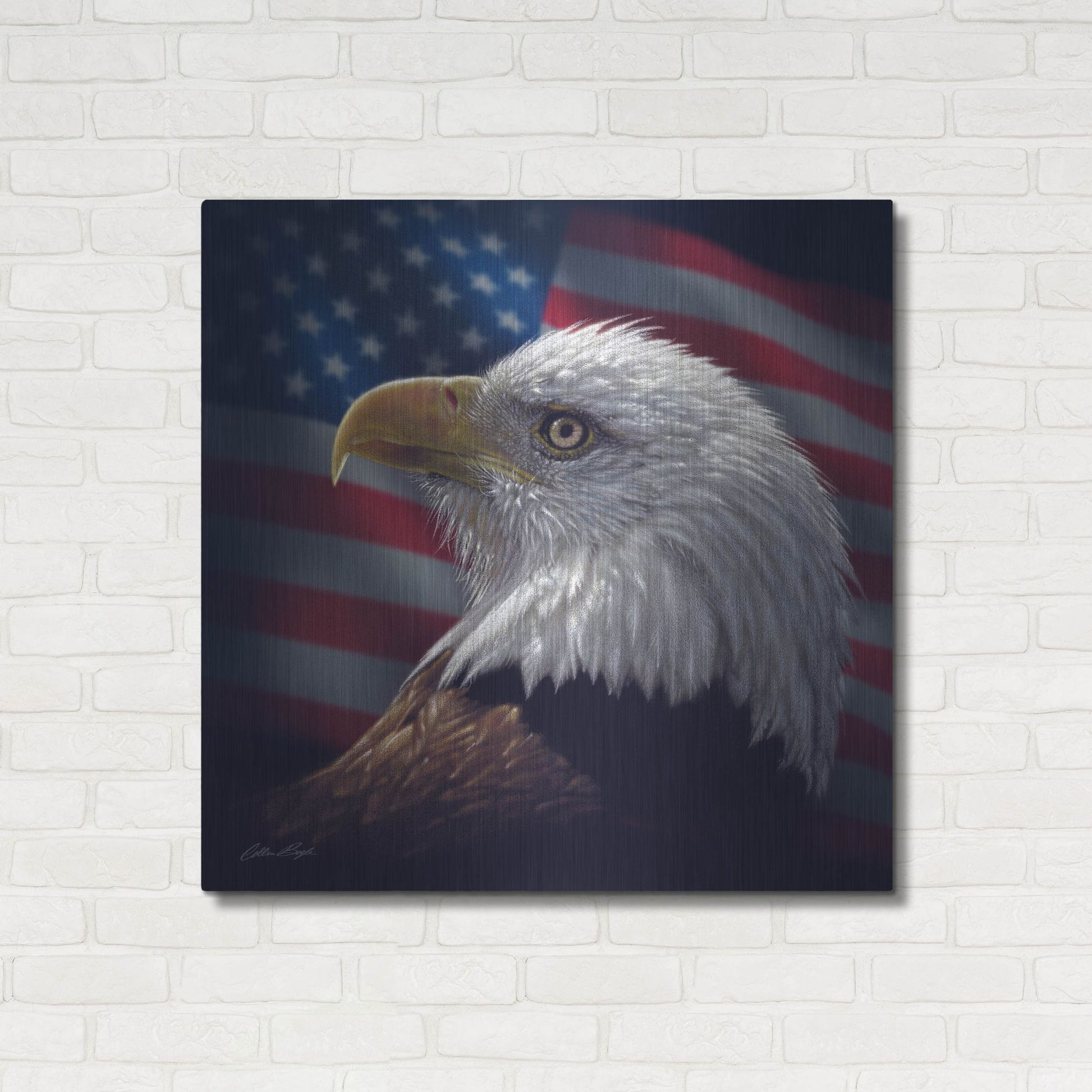 Luxe Metal Art 'American Bald Eagle' by Collin Bogle, Metal Wall Art,36x36