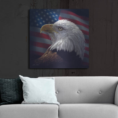 Luxe Metal Art 'American Bald Eagle' by Collin Bogle, Metal Wall Art,36x36