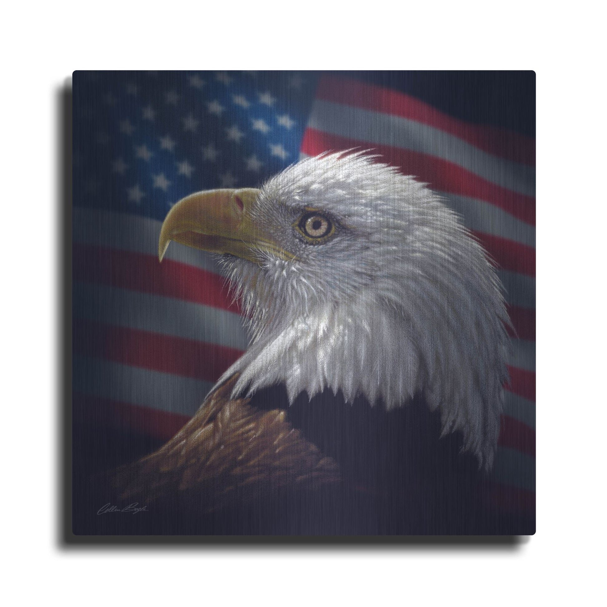 Luxe Metal Art 'American Bald Eagle' by Collin Bogle, Metal Wall Art