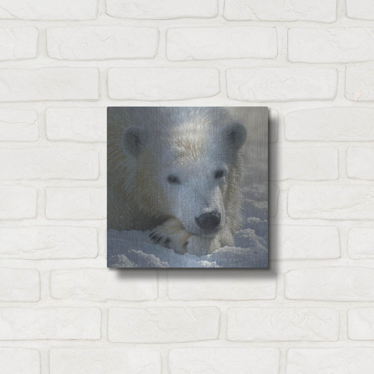Luxe Metal Art 'Polar Bear Cub' by Collin Bogle, Metal Wall Art,12x12