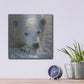 Luxe Metal Art 'Polar Bear Cub' by Collin Bogle, Metal Wall Art,12x12